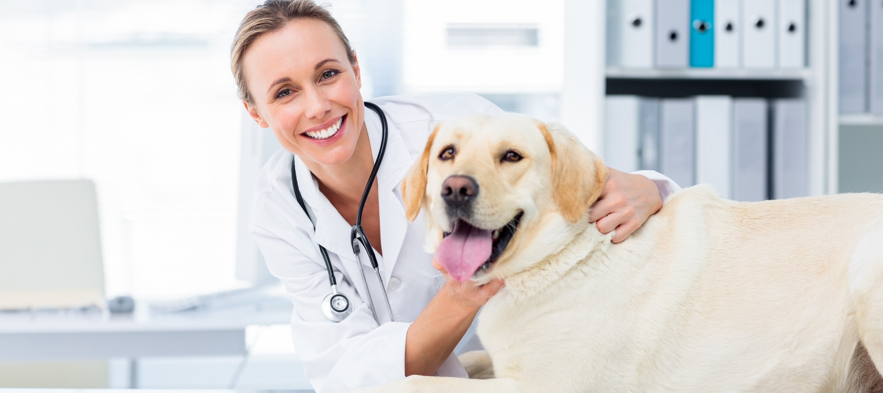 Cliniques vétérinaires